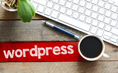 WordPress SEO 1